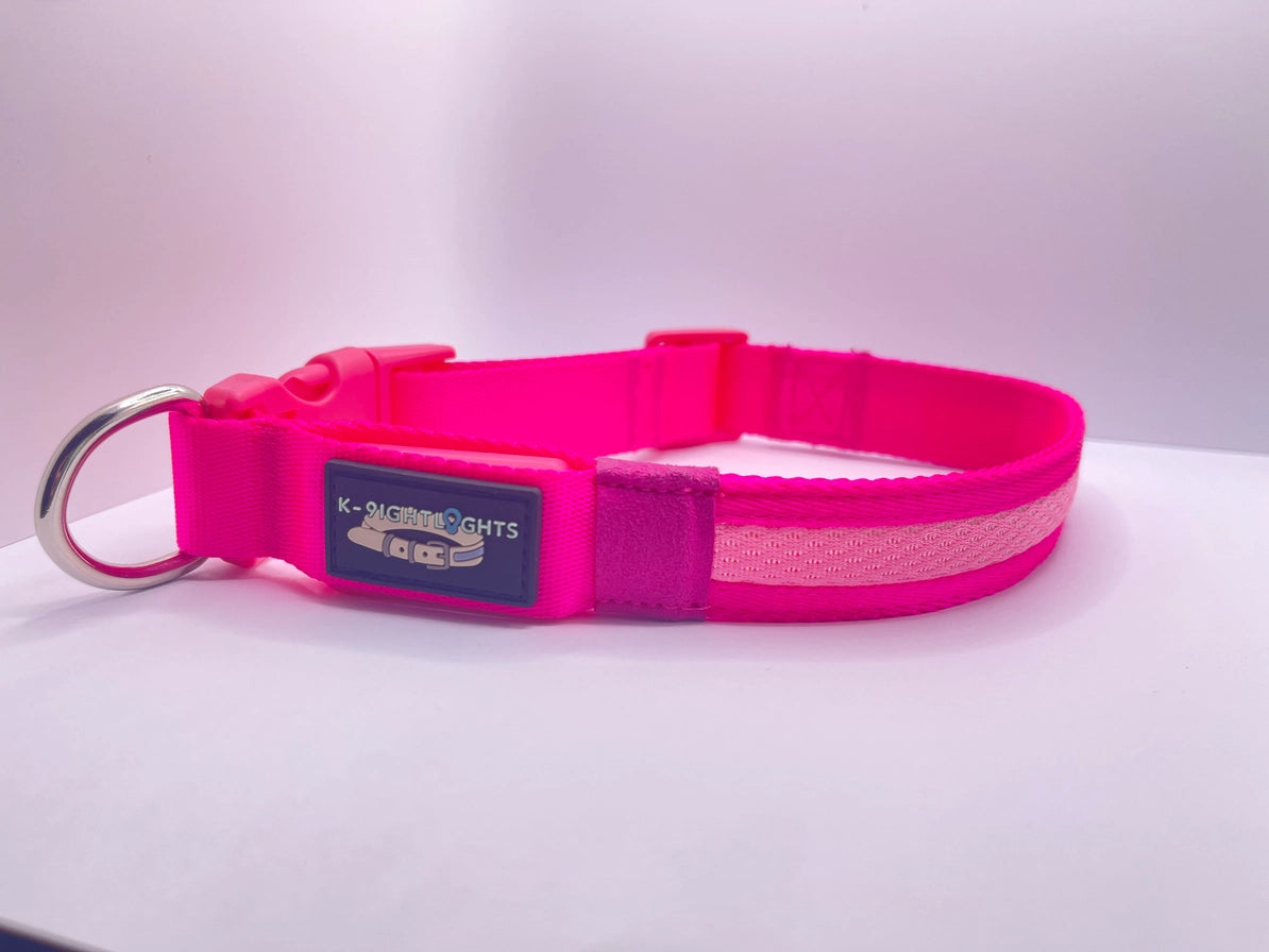 Dog Collar LED Rechargable