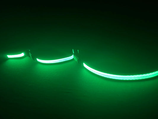 Dog Collar LED Rechargable