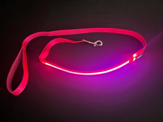 Dog Leash Light Up LED Rechargable